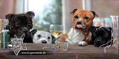 Hundeparty