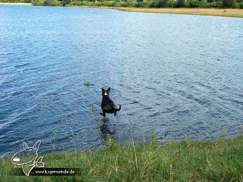 Ich bin ein Wasserhase!!!