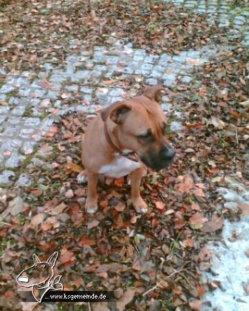 Is scho wida Herbst :P