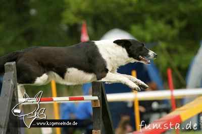 Josy, Fritzi und der Spike und das A-Team