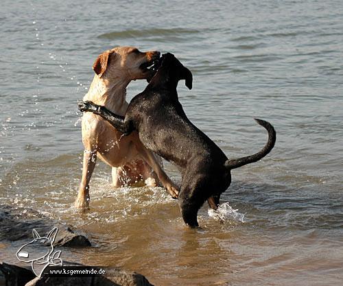 Joy und Hannah