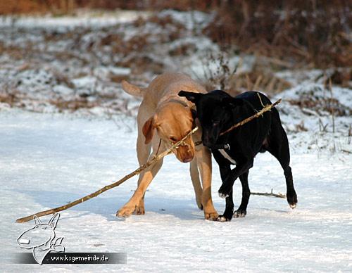 Joy und Hannah