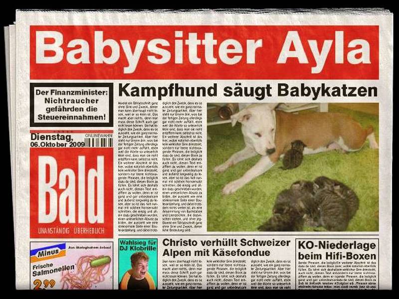 Kampfhund Säugt Babykatzen ;)