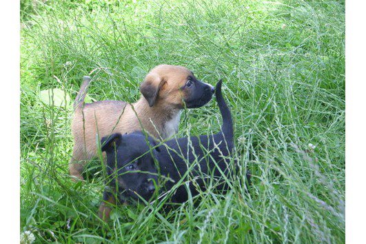 Kira & Ihr Bruder