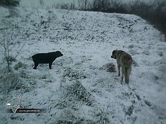 Kira und Gazoo im Schnee