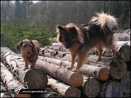 Laura und Mandy