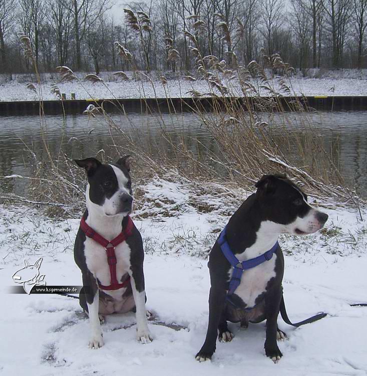 Lilli und Henry im Schnee