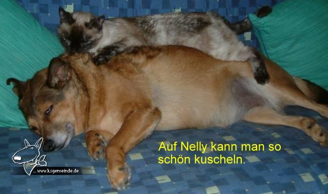 Lotta und Nelly