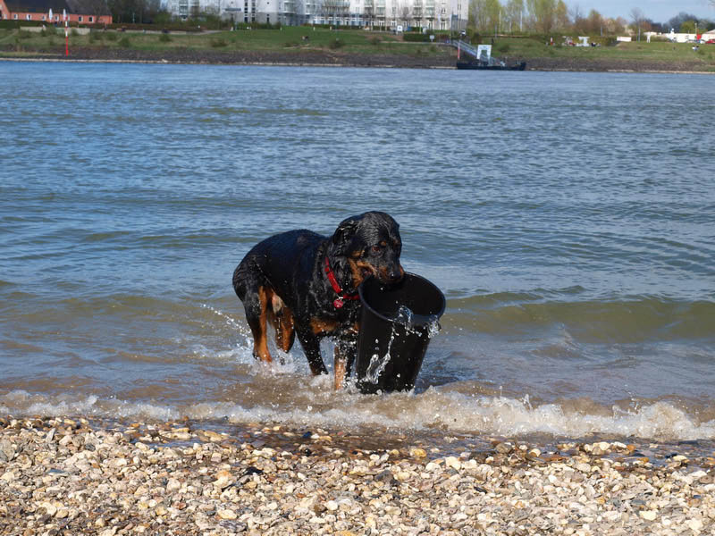 Mann, Mann, das ist ne Schufterei, das Trinkwasser heranzuschaffen