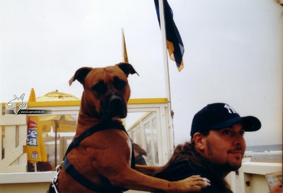 Mann_und_Hund_am_Strand