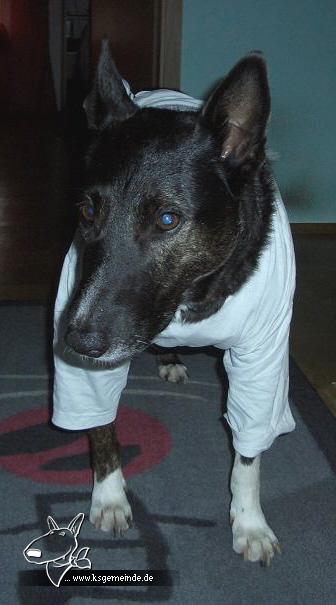 Max mit T-Shirt