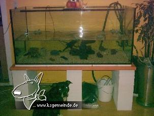 Mein _Aquarium