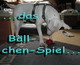 Mein Bulli, Mein Ball...