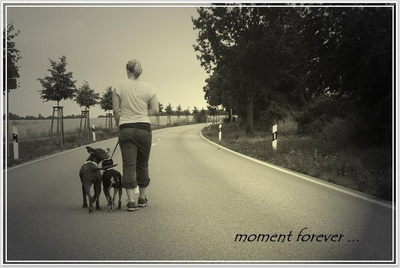 moment forever ...