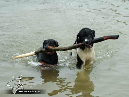 Nala und Freund Charly