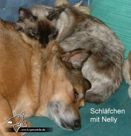 Nelly und Lotta kuscheln