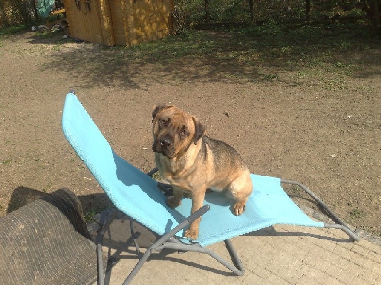 Ok, Wir Haben Den Garten Bearbeitet. Aber Es Diente Einem Guten Zweck. Der Rasen Hat Viel Platz Zum