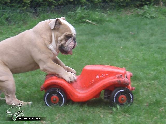 Oscar und sein Bobby-Car