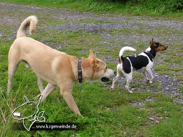 Pancho und Linus unterwegs