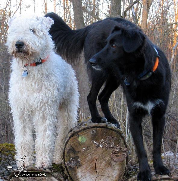 sam und freundin emma