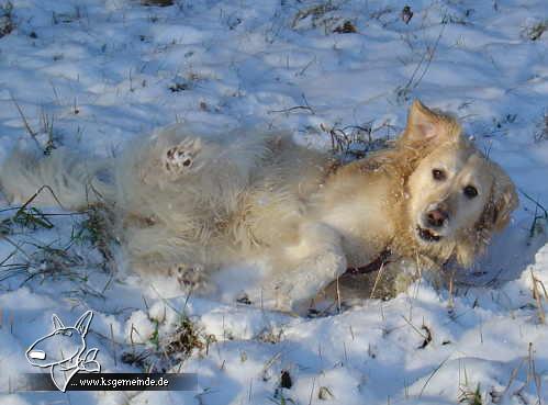 Schnee ist mega toll