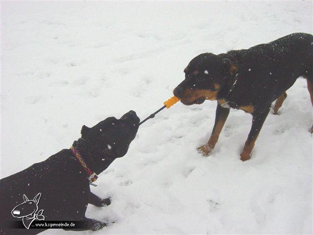 Schneebilder