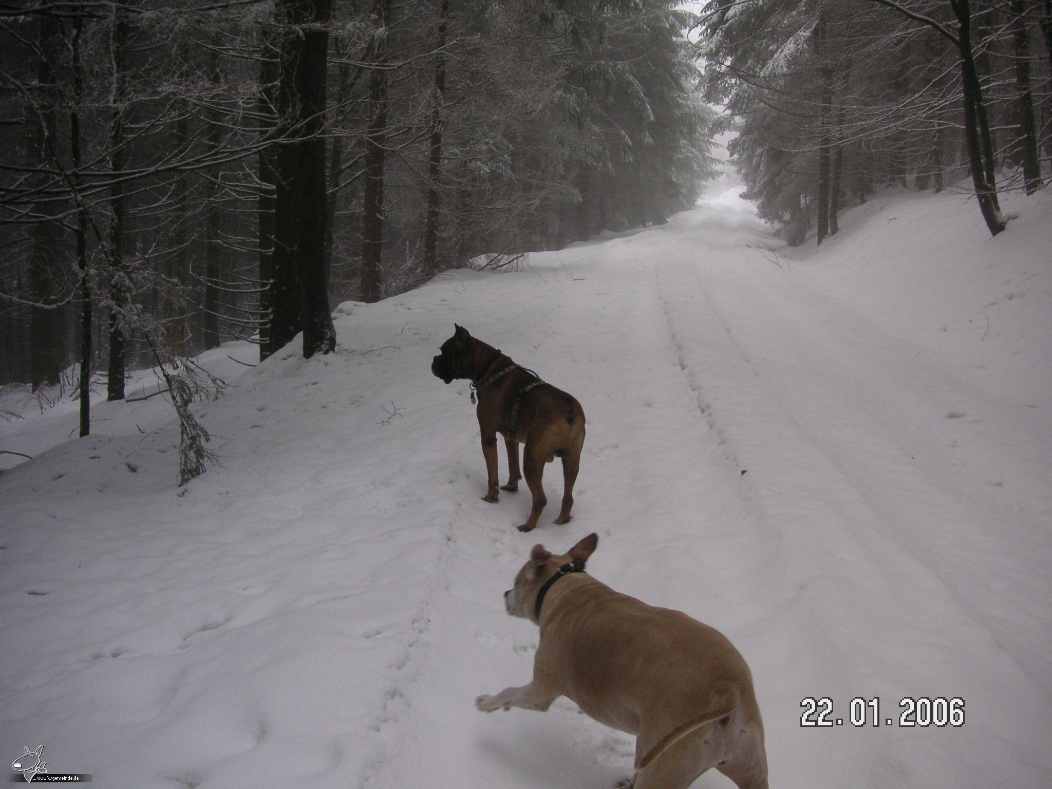 Schneespaziergang