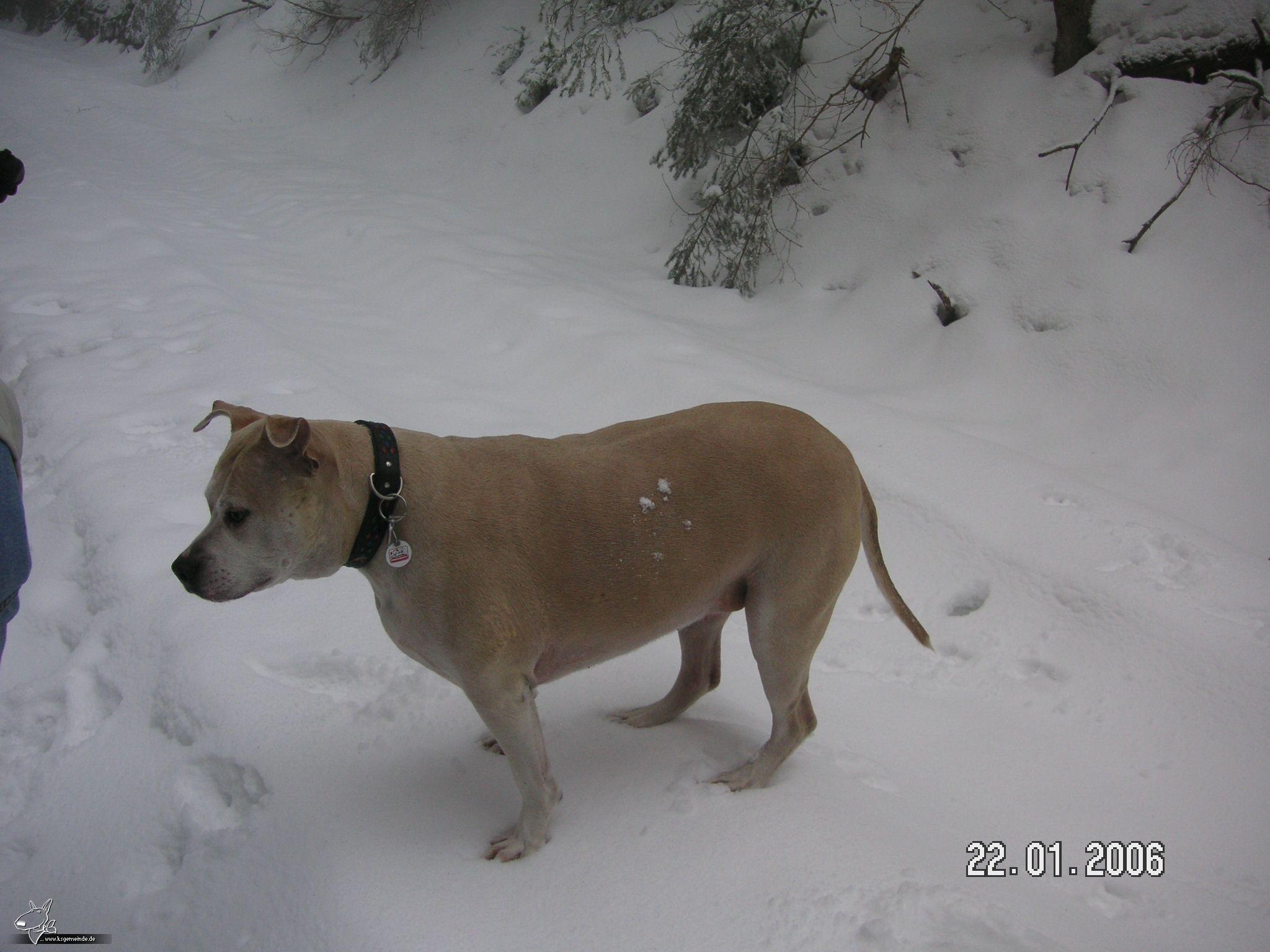 Schneespaziergang