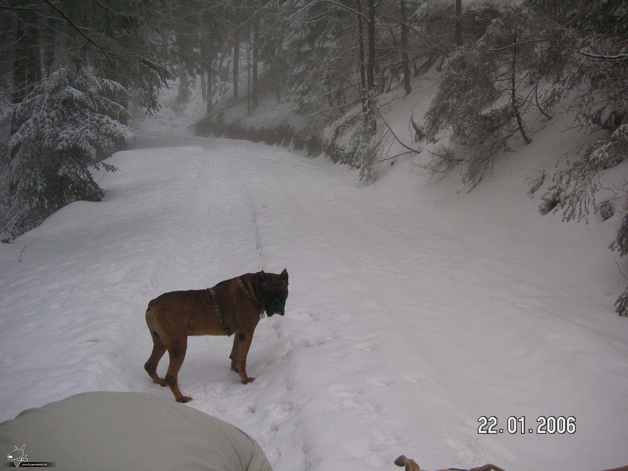 Schneespaziergang