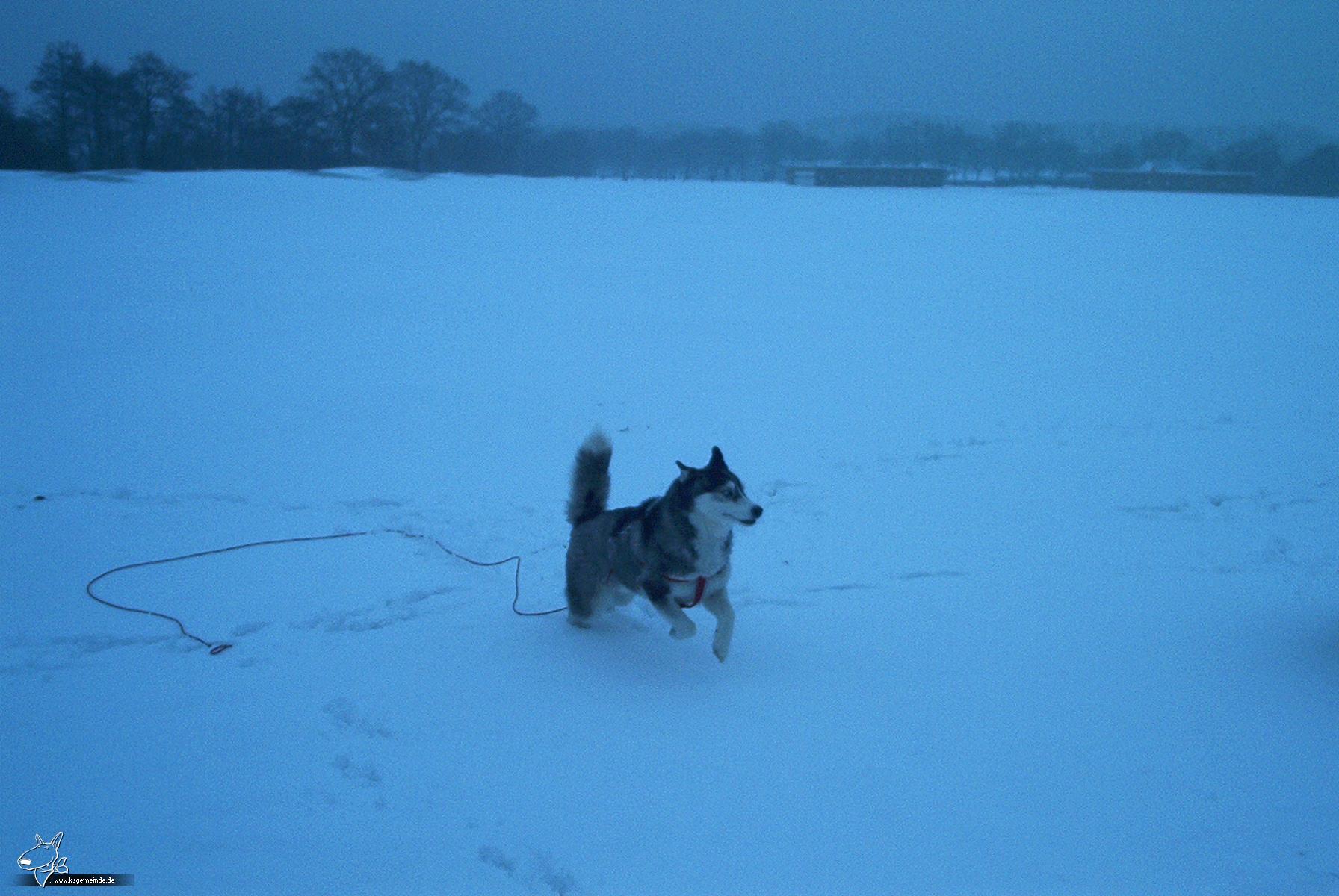 Silvester 2005