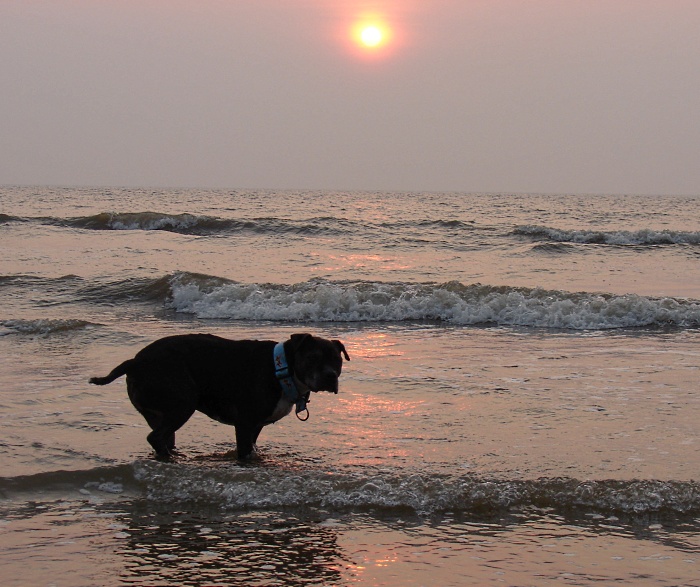 Sonneuntergang In Callantsoog