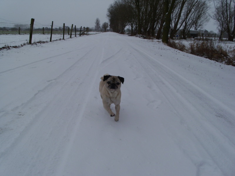 Spaß Im Schnee