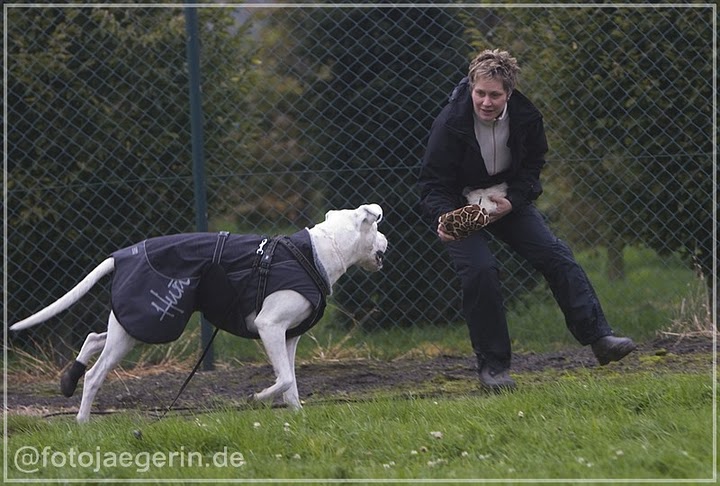 Spielbeginn - Spielende I