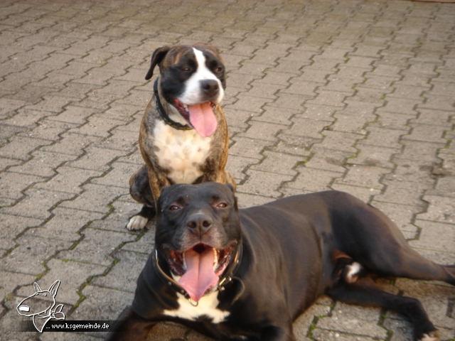 Spike und Amy