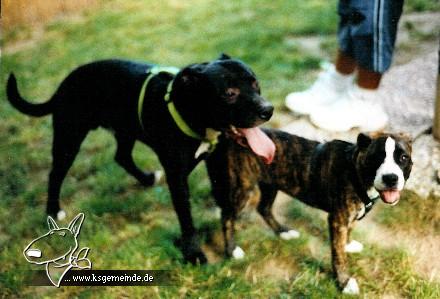 Spike und Amy