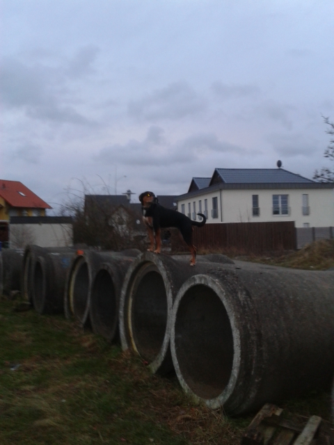 Streetagility