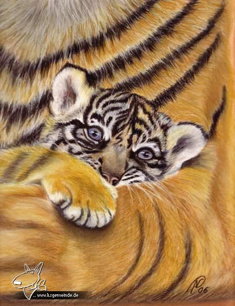 Tigermama und Baby
