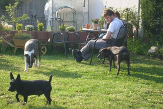 Tommi Und Papa Zu Besuch