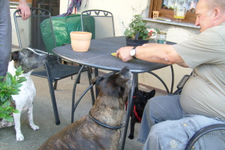 Tommi Und Papa Zu Besuch