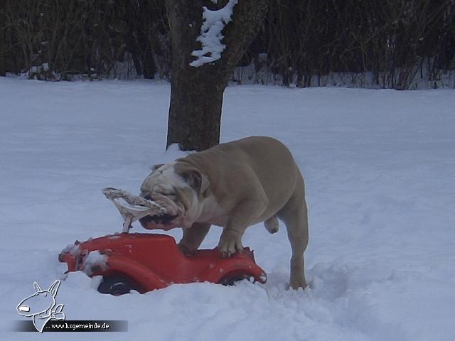 Und auch im Winter ist das Bobby-Car dabei :)