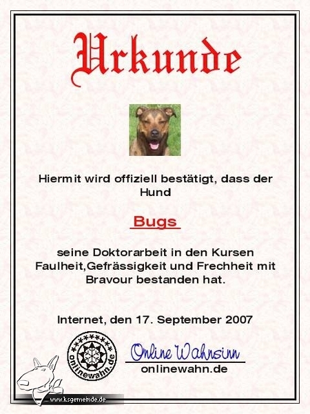 Urkunde