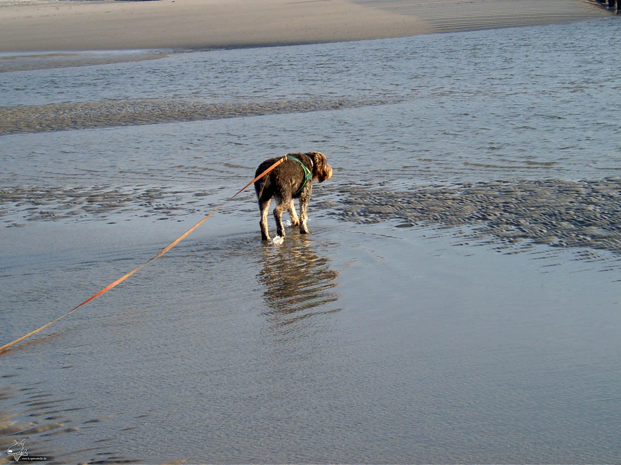 Wangerooge