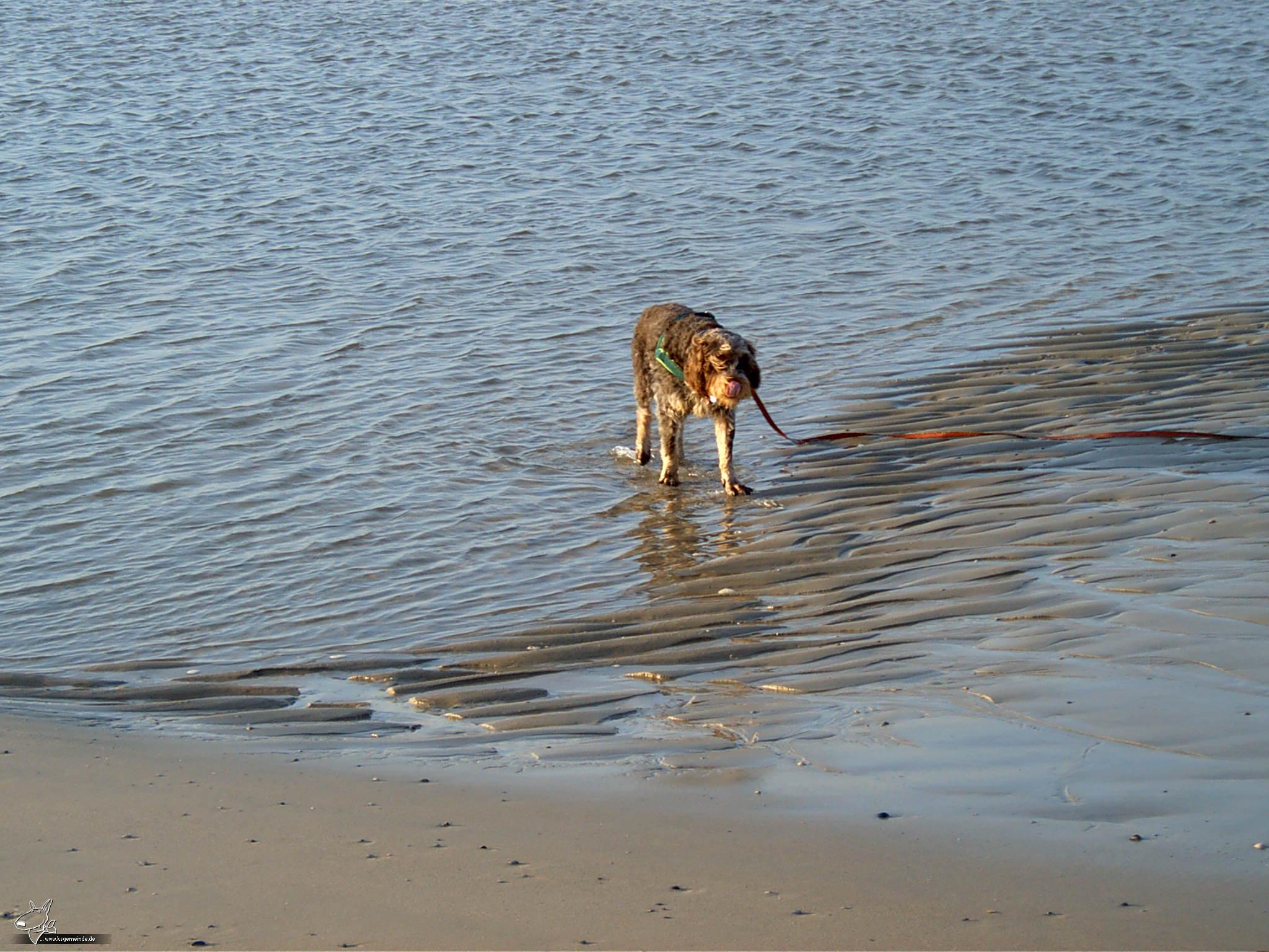 Wangerooge