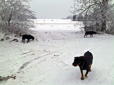 Winterspaziergang