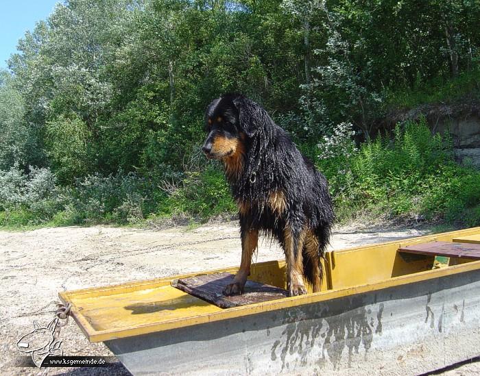 Wir sitzen alle im selben Boot!  (meint Dustyn)