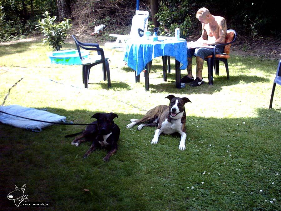 Wuffs mit Papa im garten