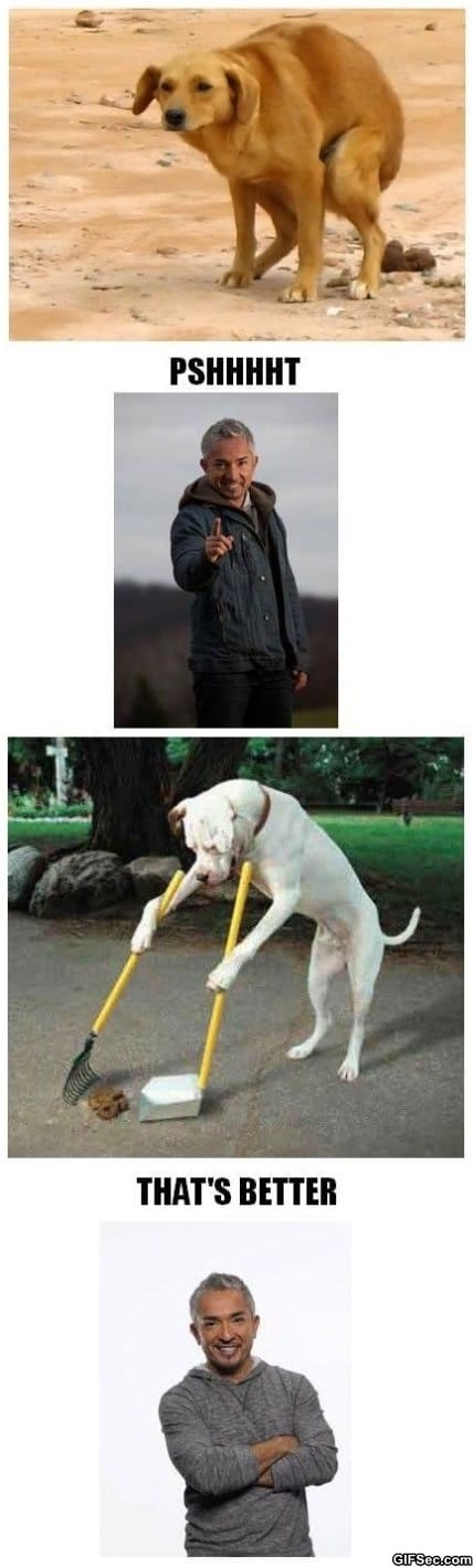 Dog-Whisperer-with-Cesar-Millan.jpg